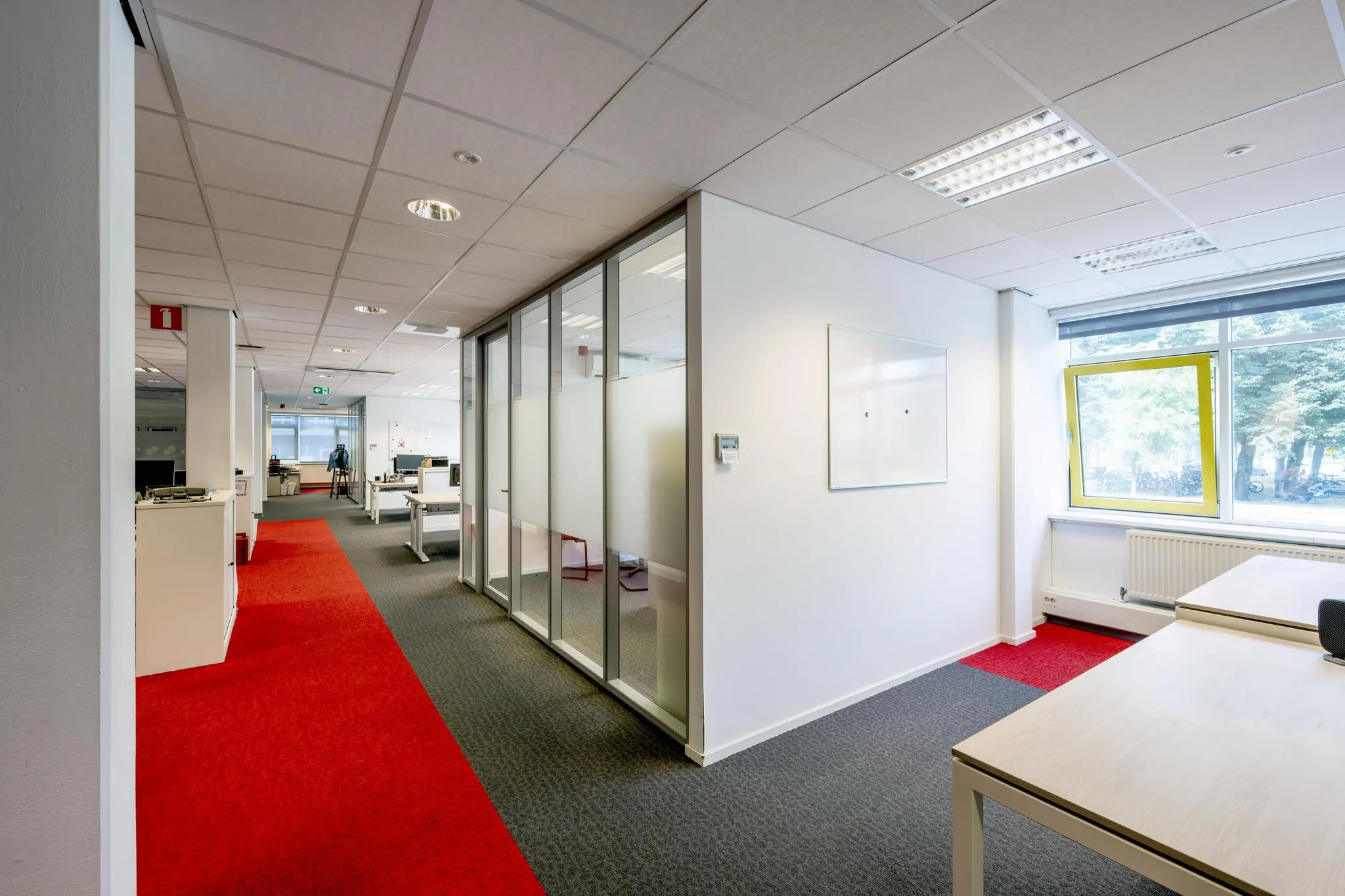 Modern kantoorinterieur aan de Jan Tooropstraat met glazen vergaderruimtes, rode vloerbedekking en een open raam met uitzicht op bomen.